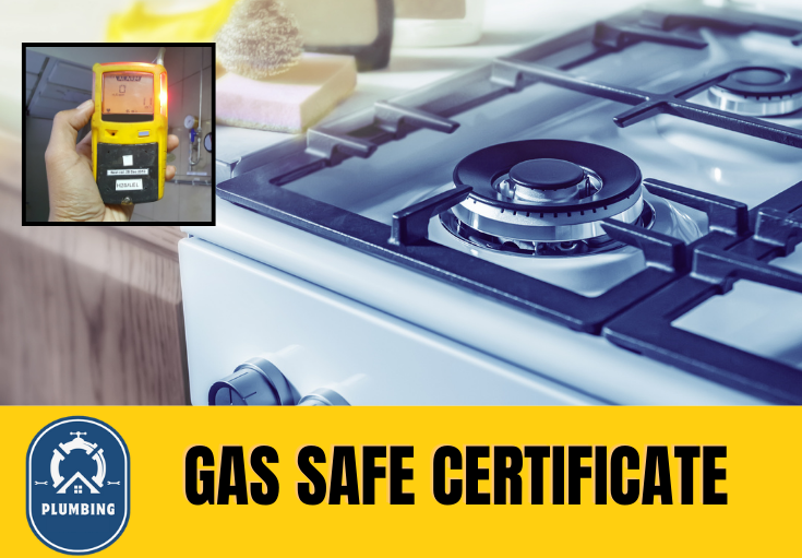 gas safe certificate Southborough