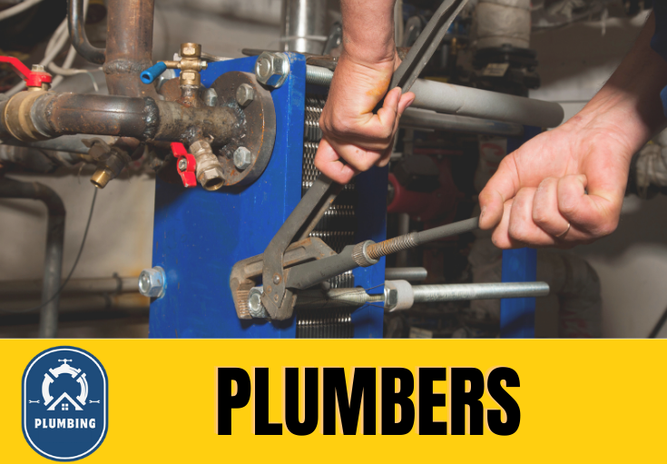  plumber Tunbridge Wells