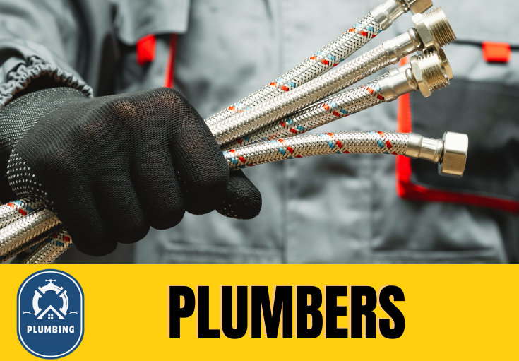  plumber Speldhurst